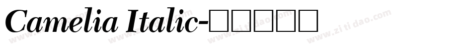 Camelia Italic字体转换